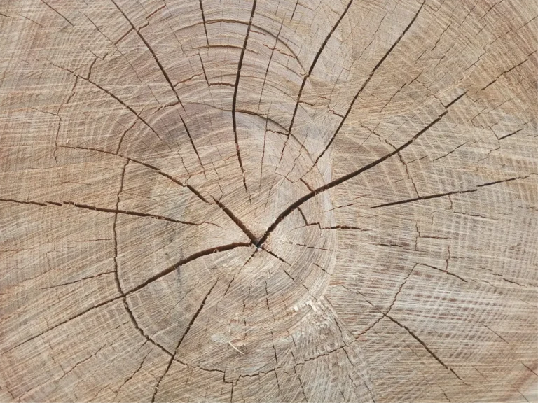 Naturalne drewno w meblach dziecięcych